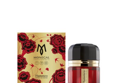 Ramon Monegal Flamenco Extrait